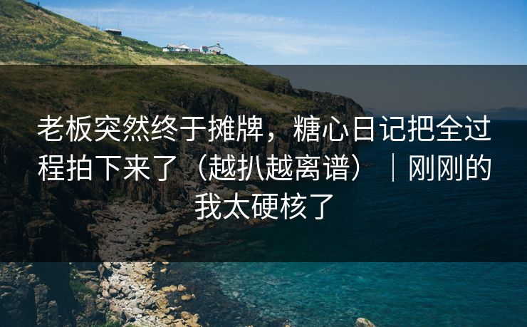 老板突然终于摊牌，糖心日记把全过程拍下来了（越扒越离谱）｜刚刚的我太硬核了