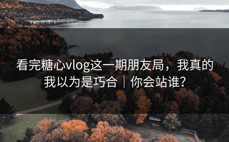 看完糖心vlog这一期朋友局，我真的我以为是巧合｜你会站谁？