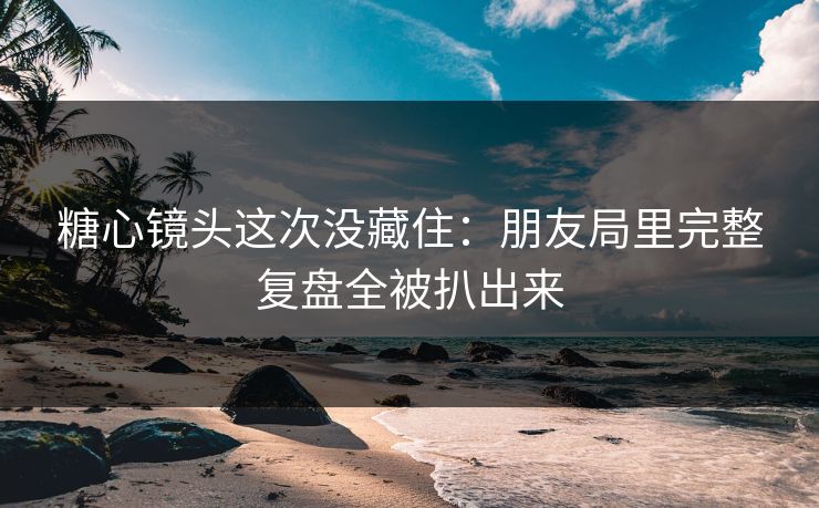 糖心镜头这次没藏住：朋友局里完整复盘全被扒出来