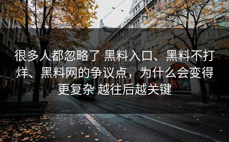 很多人都忽略了 黑料入口、黑料不打烊、黑料网的争议点，为什么会变得更复杂 越往后越关键
