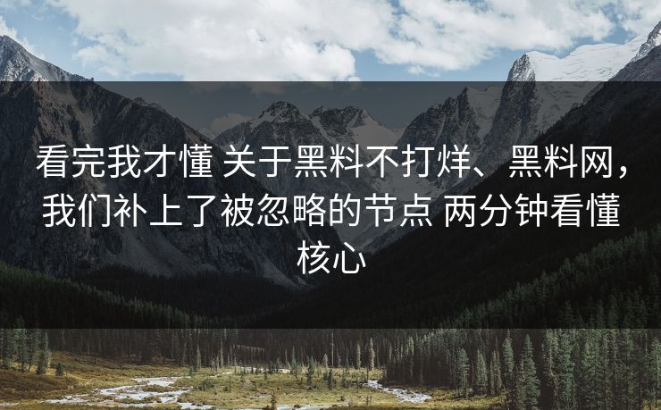 看完我才懂 关于黑料不打烊、黑料网，我们补上了被忽略的节点 两分钟看懂核心