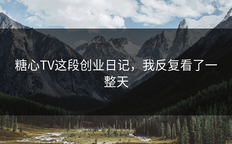 糖心TV这段创业日记，我反复看了一整天