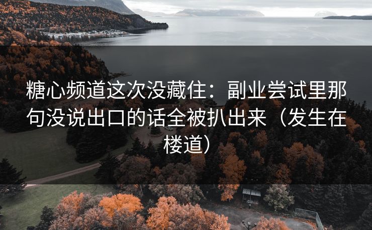 糖心频道这次没藏住：副业尝试里那句没说出口的话全被扒出来（发生在楼道）