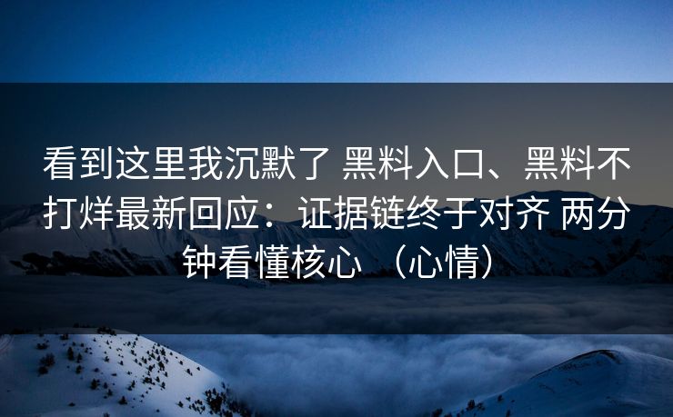看到这里我沉默了 黑料入口、黑料不打烊最新回应：证据链终于对齐 两分钟看懂核心 （心情）