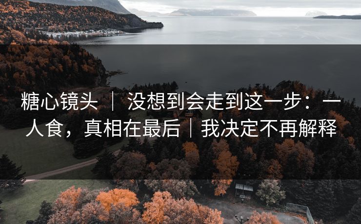 糖心镜头 ｜ 没想到会走到这一步：一人食，真相在最后｜我决定不再解释