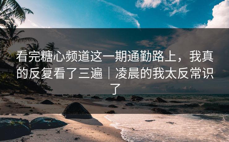 看完糖心频道这一期通勤路上，我真的反复看了三遍｜凌晨的我太反常识了
