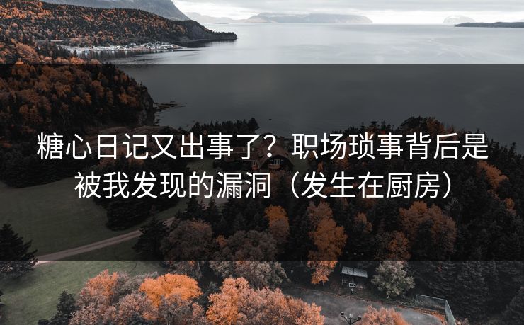 糖心日记又出事了？职场琐事背后是被我发现的漏洞（发生在厨房）
