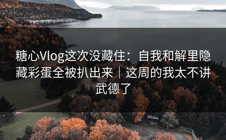 糖心Vlog这次没藏住：自我和解里隐藏彩蛋全被扒出来｜这周的我太不讲武德了