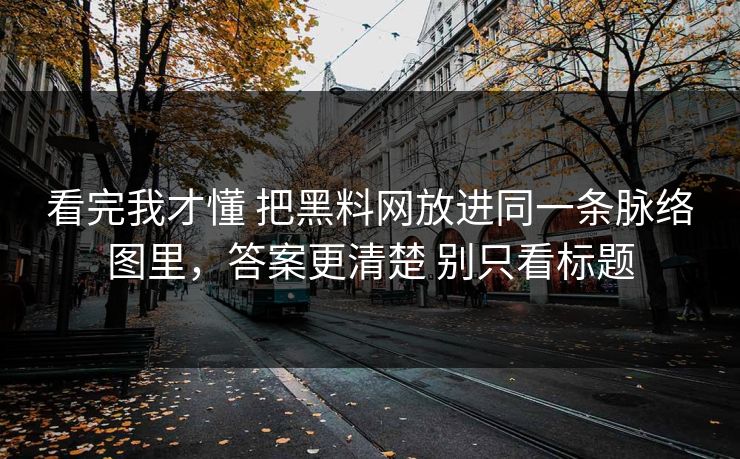 看完我才懂 把黑料网放进同一条脉络图里，答案更清楚 别只看标题
