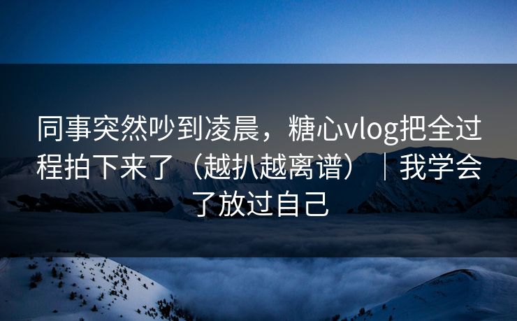 同事突然吵到凌晨，糖心vlog把全过程拍下来了（越扒越离谱）｜我学会了放过自己