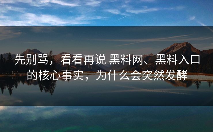 先别骂，看看再说 黑料网、黑料入口的核心事实，为什么会突然发酵